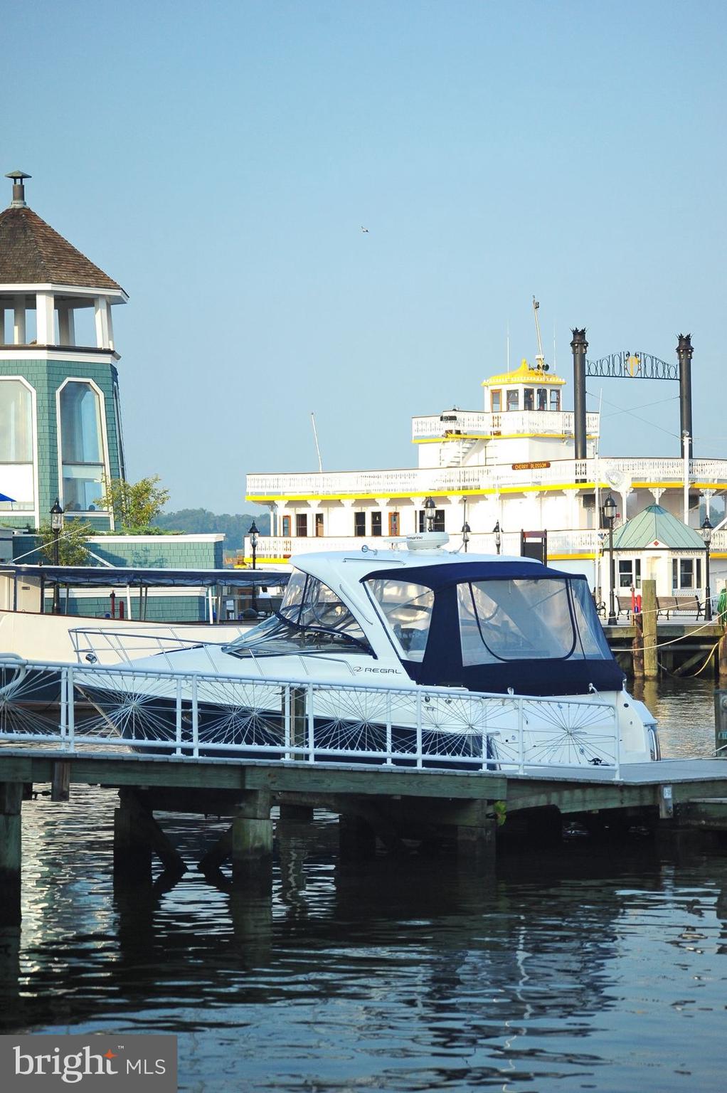 1208 Princess Street Alexandria, VA 22314 - Photo 37 of 38 Old Town Alexandria Waterfront Marina