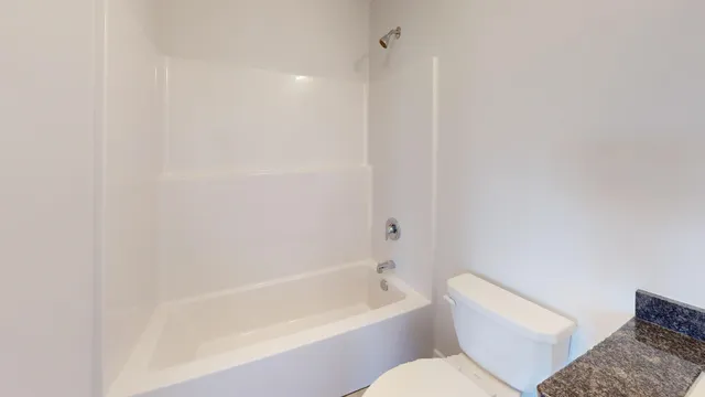 a bathroom with a toilet and a bathtub