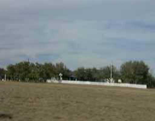 a view of a field with trees in background