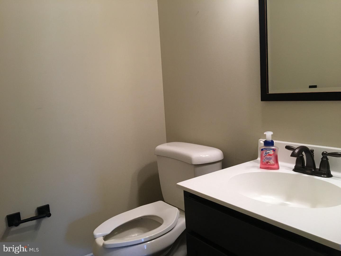 9 North 7th Street, Unit B Perkasie, PA 18944 - Photo 14 of 19 a bathroom with a toilet a sink and a mirror