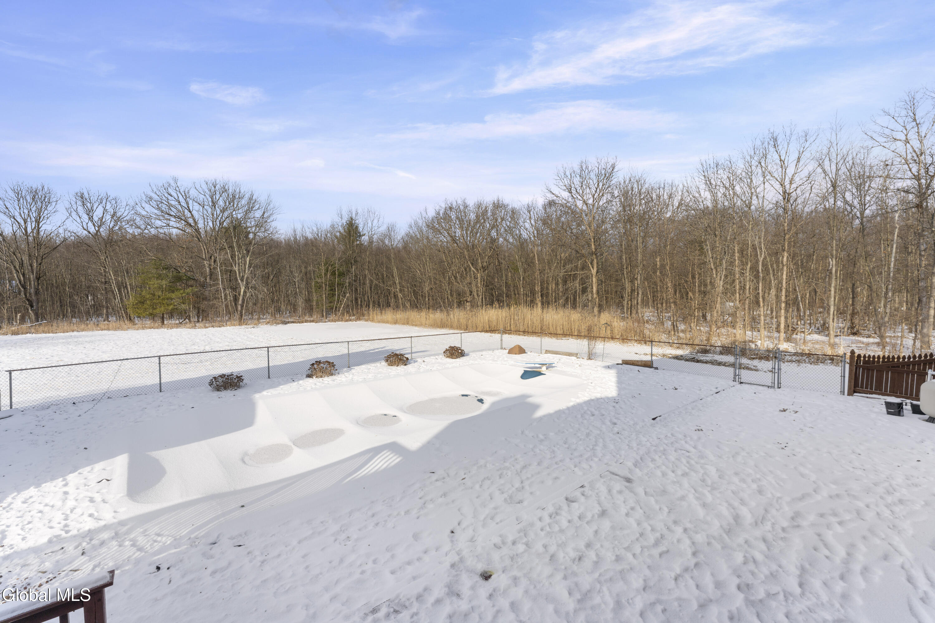 1000 Stony Point Road Schodack, NY 12033 - Photo 32 of 40 Yard 1