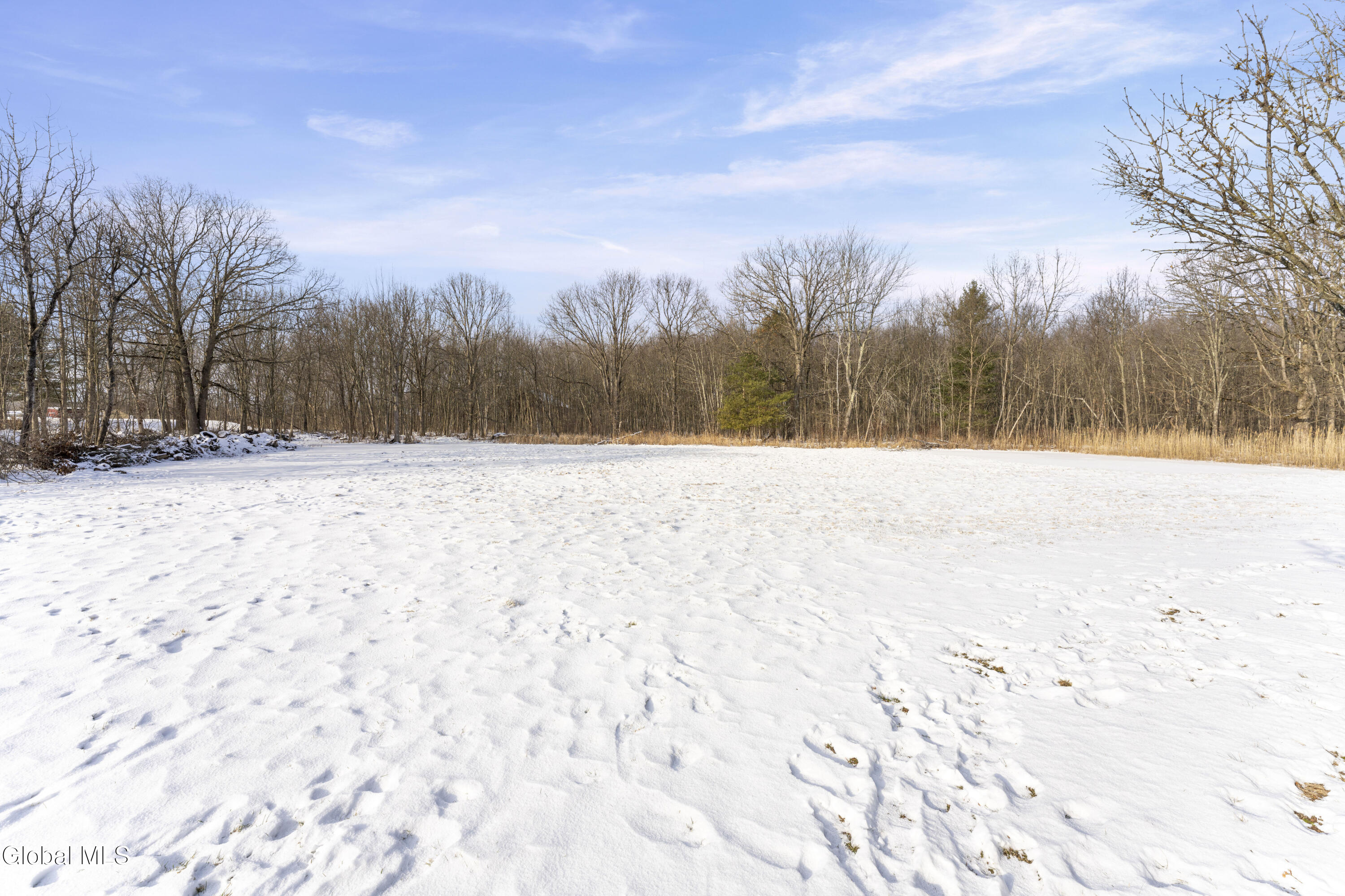 1000 Stony Point Road Schodack, NY 12033 - Photo 37 of 40 Yard 6