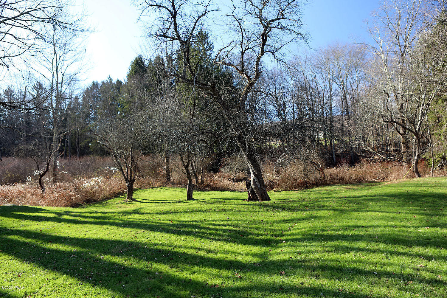 215 Hopkins Road Tyler Hill, PA 18469 - Photo 2 of 28 Lawn