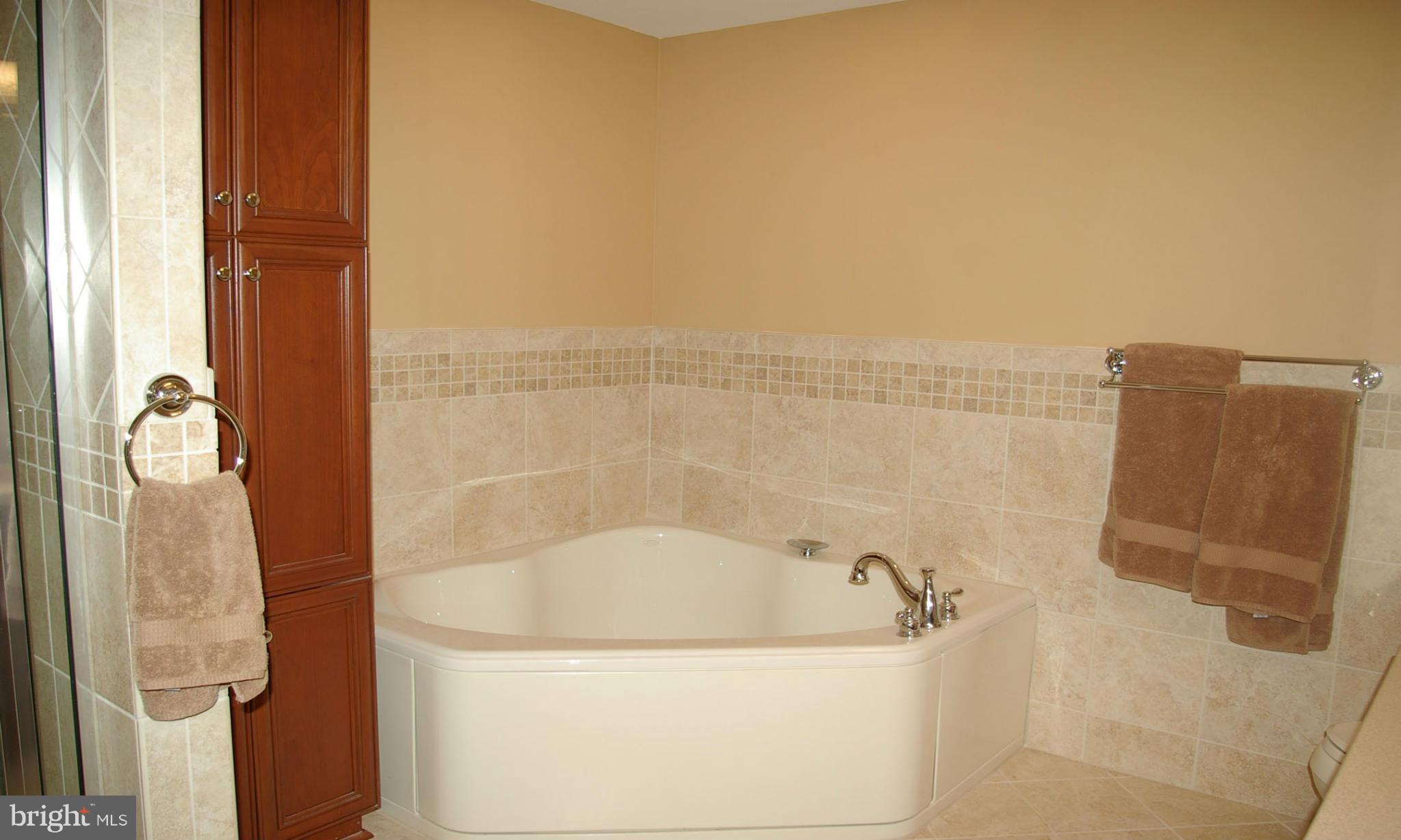 4304 Silver Spring Road Perry Hall, MD 21236 - Photo 11 of 17 Super Bath w/Soaking Tub