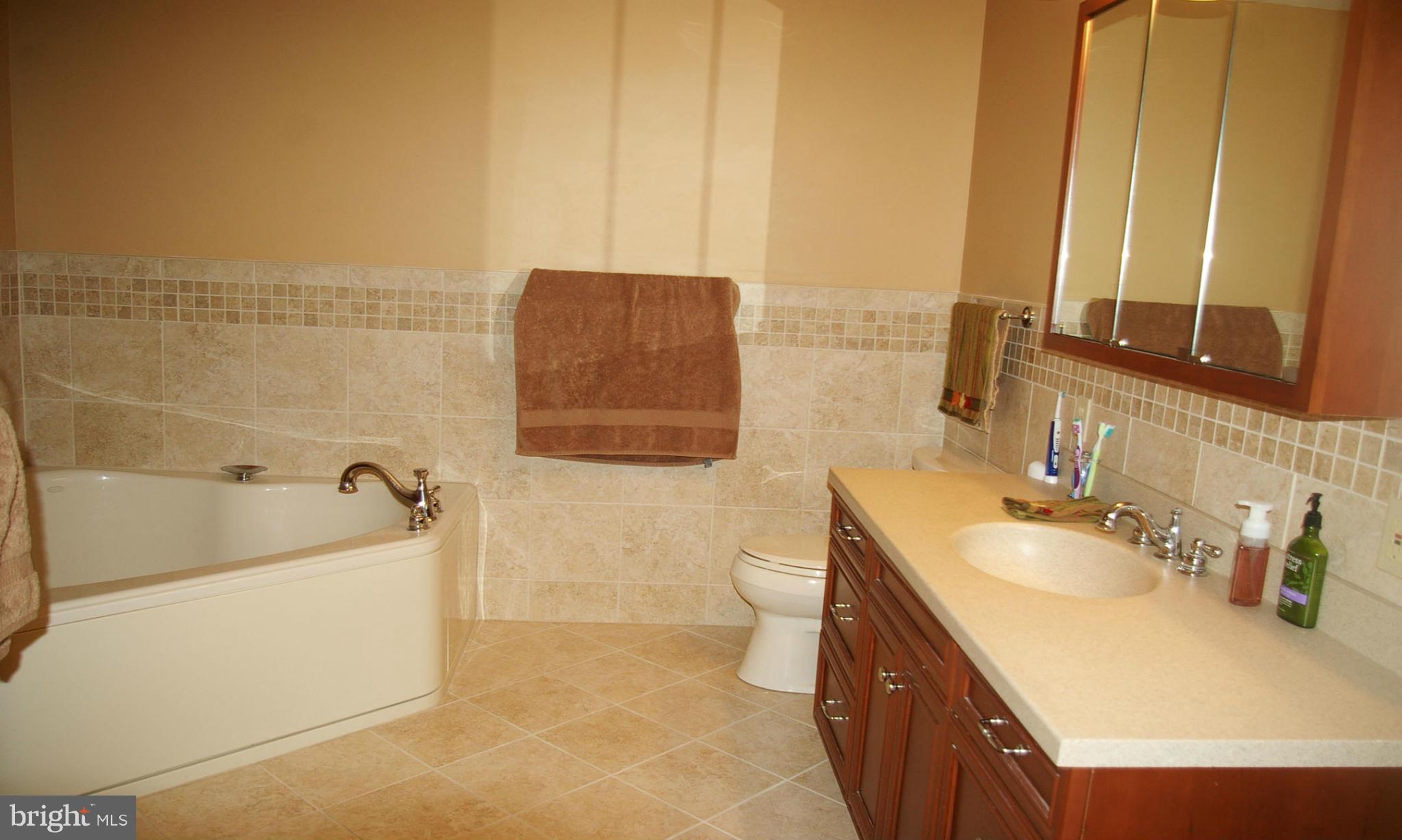 4304 Silver Spring Road Perry Hall, MD 21236 - Photo 9 of 17 Fantastic Super Bath