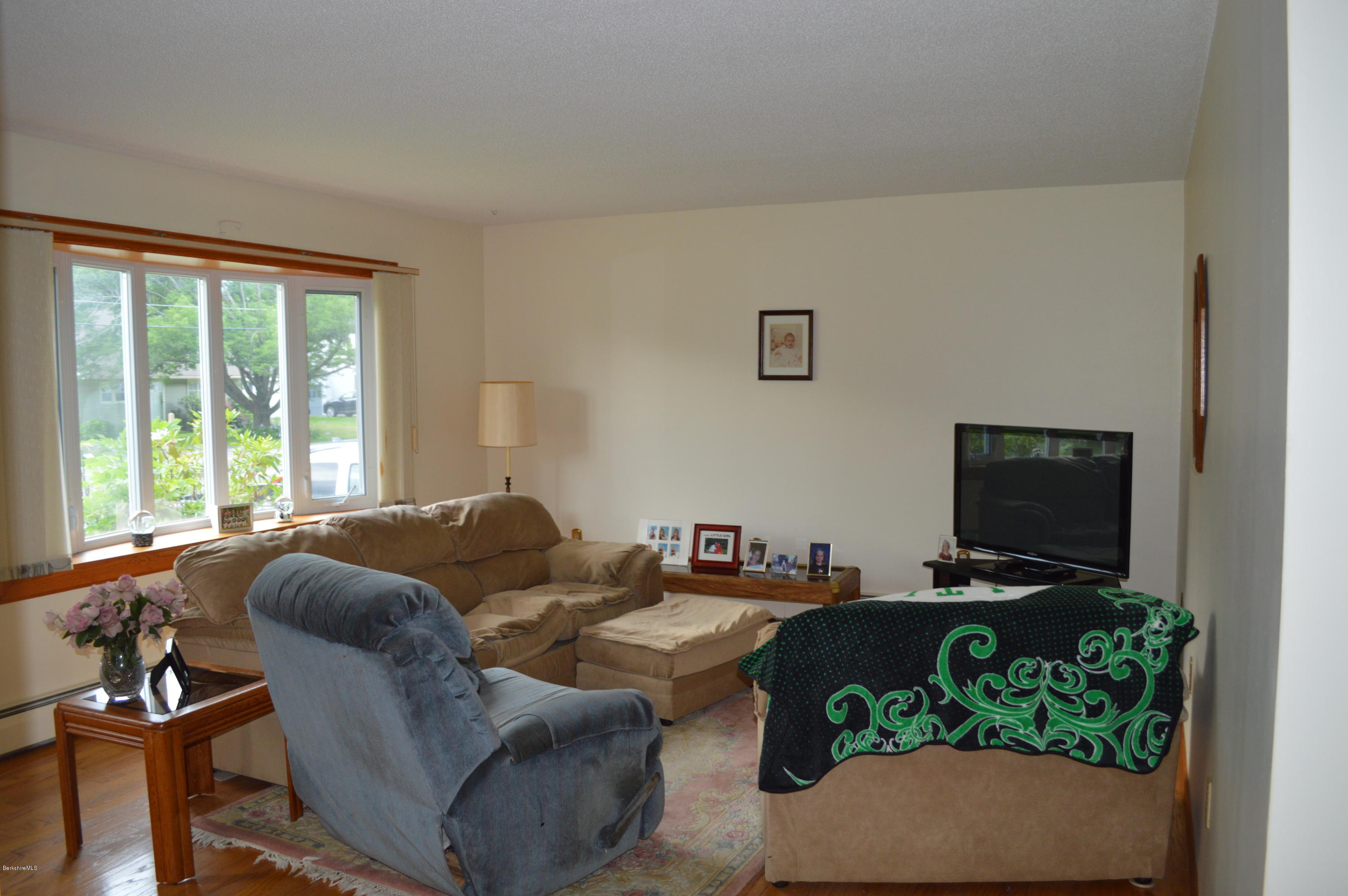 746 Pecks Road Pittsfield, MA 01201 - Photo 4 of 10 DSC_0531