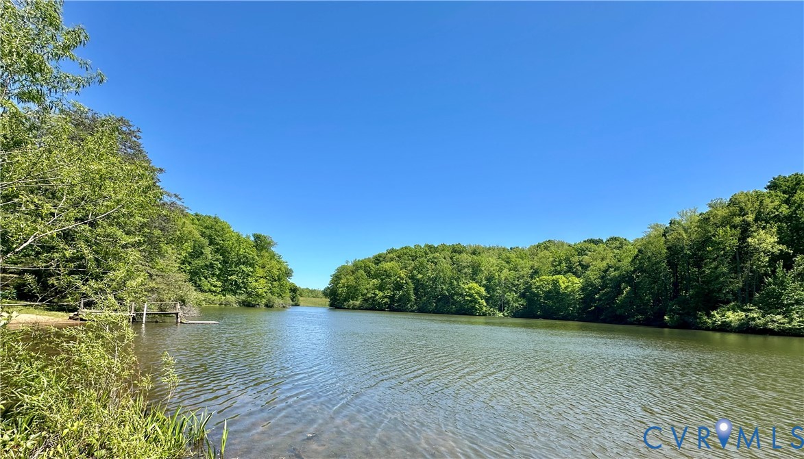 Lot 6 Buffalo Church Road Pamplin, VA 23958 - Photo 6 of 7 Gallery Image 6