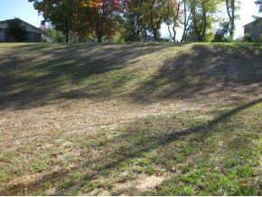 370 Kings Road Piney Flats, TN 37686 - Photo 3 of 20 Backyard