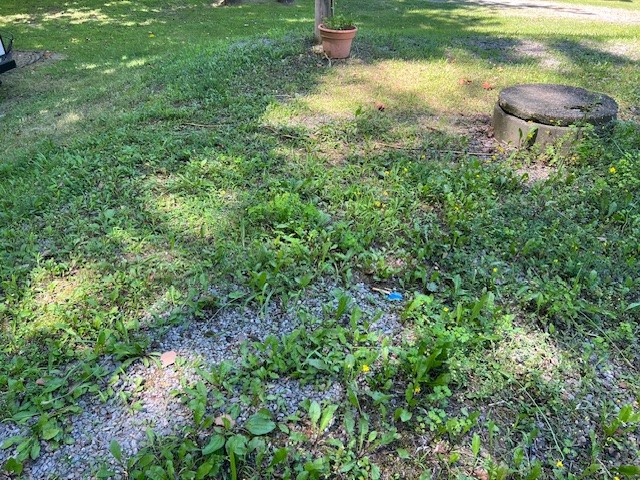 4643 Watkins Road Veteran, NY 14864 - Photo 18 of 22