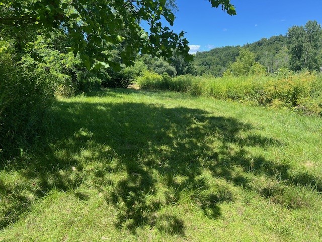 4643 Watkins Road Veteran, NY 14864 - Photo 21 of 22