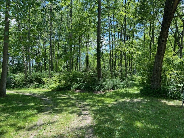 4643 Watkins Road Veteran, NY 14864 - Photo 3 of 22