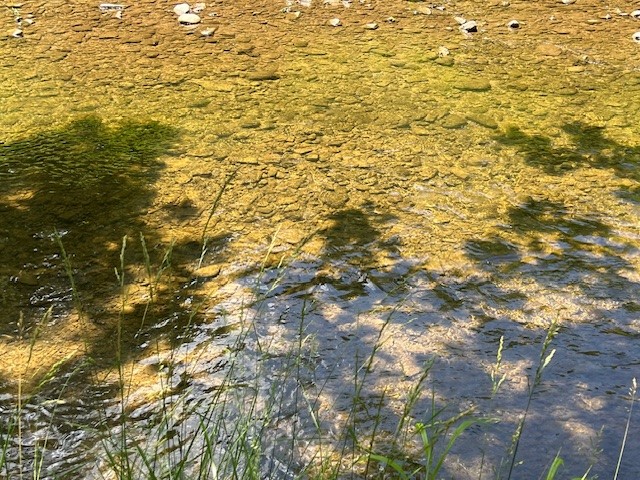 4643 Watkins Road Veteran, NY 14864 - Photo 8 of 22