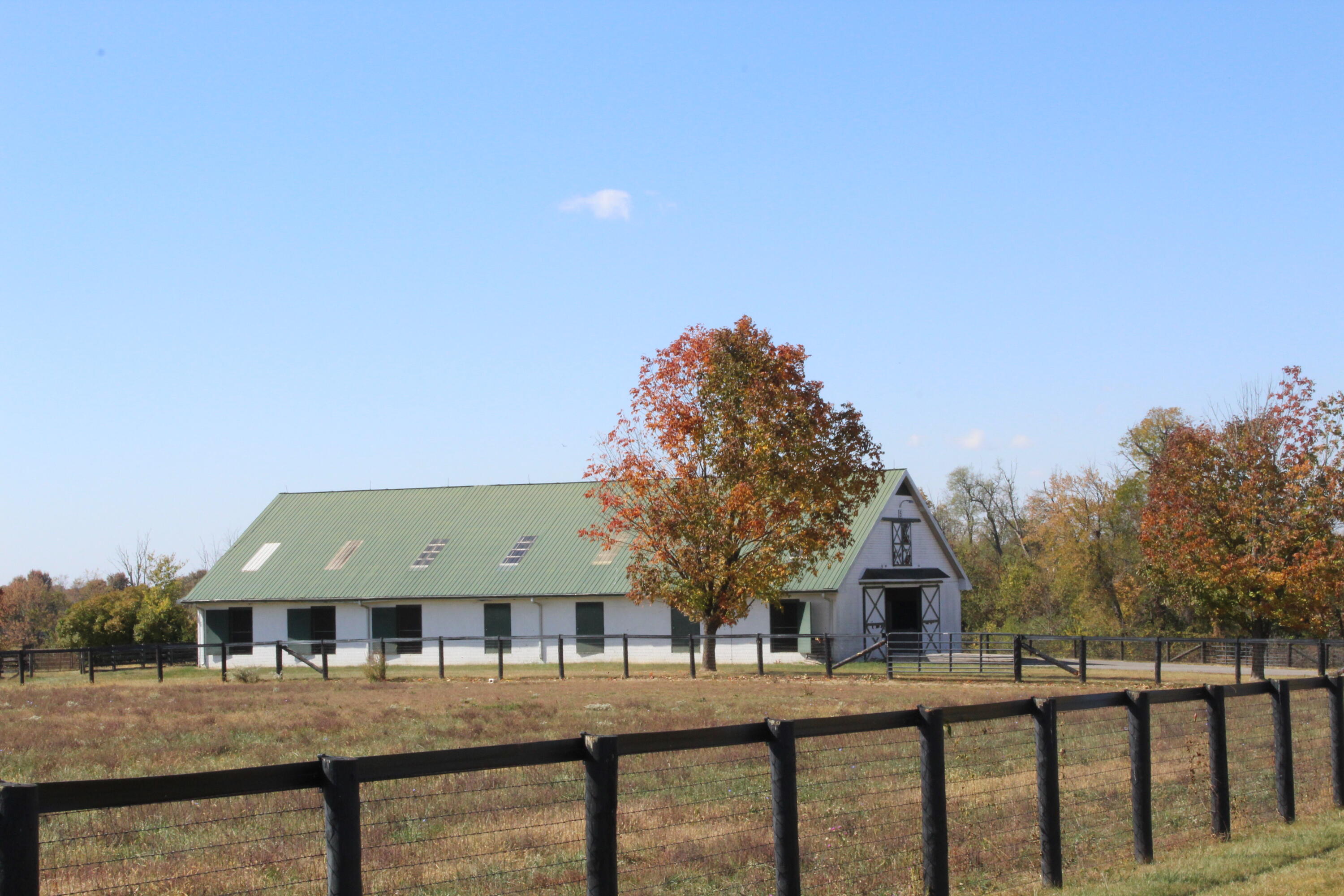 491 Elizabeth Station Road Paris, KY 40361 - Photo 12 of 20 IMG_2703