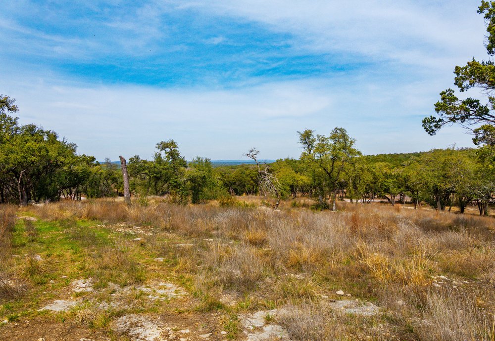 6026 Sentry Point Fischer, TX 78623 - Photo 11 of 16