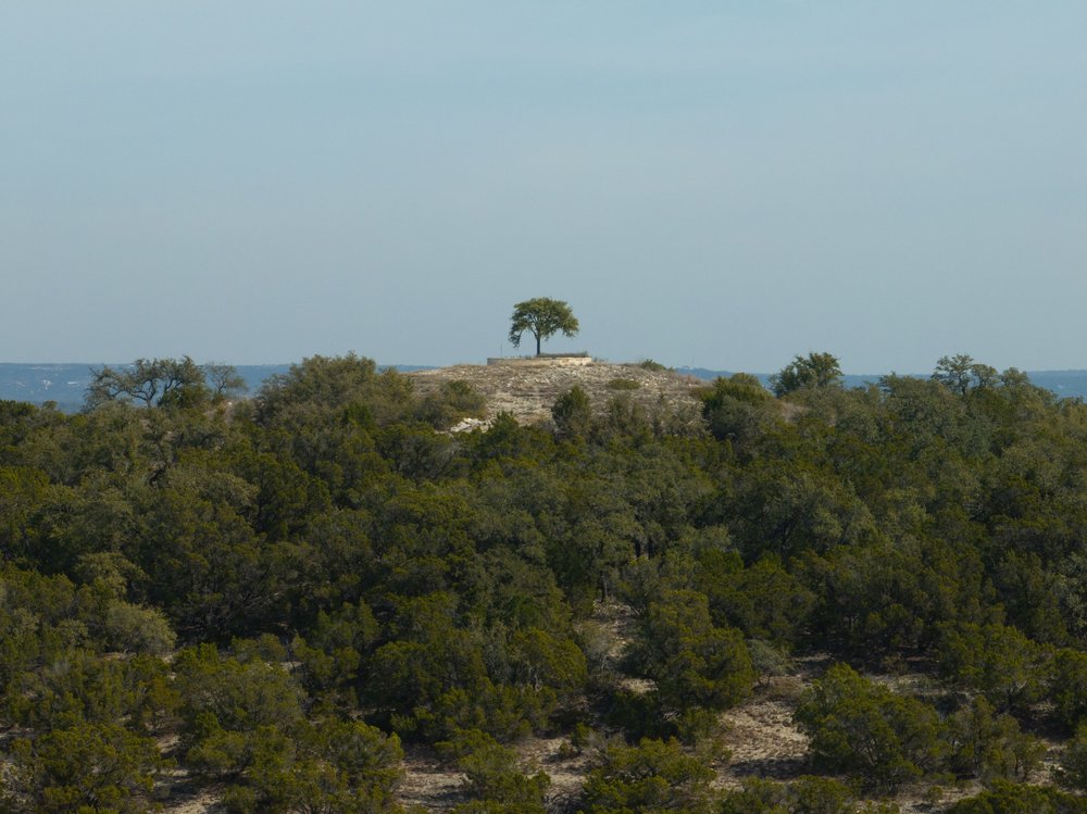 6026 Sentry Point Fischer, TX 78623 - Photo 4 of 16 The storied Sentinel Tree