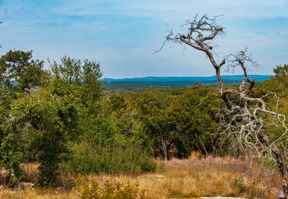 6026 Sentry Point Fischer, TX 78623 - Photo 10 of 16