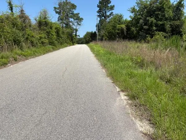 $30,000 | Tbd Boston Wells Road, Alcolu, SC 29001