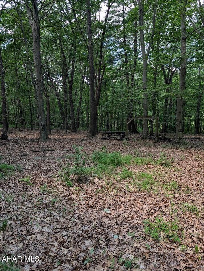 0 Mosquito Hollow Road Six Mile Run, PA 16679 - Photo 21 of 29