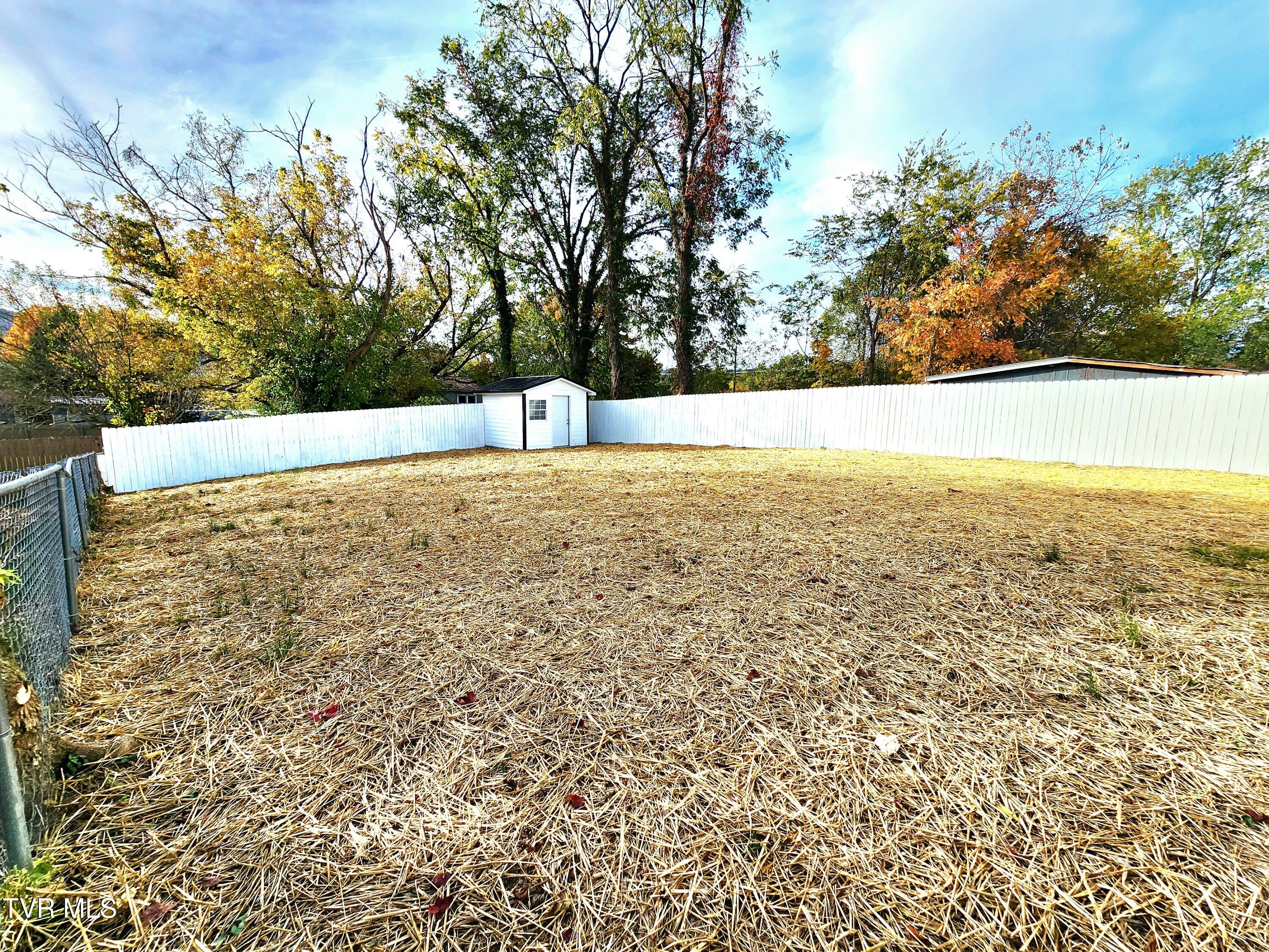 111 Parsley Street Erwin, TN 37650 - Photo 24 of 28 IMG_9394