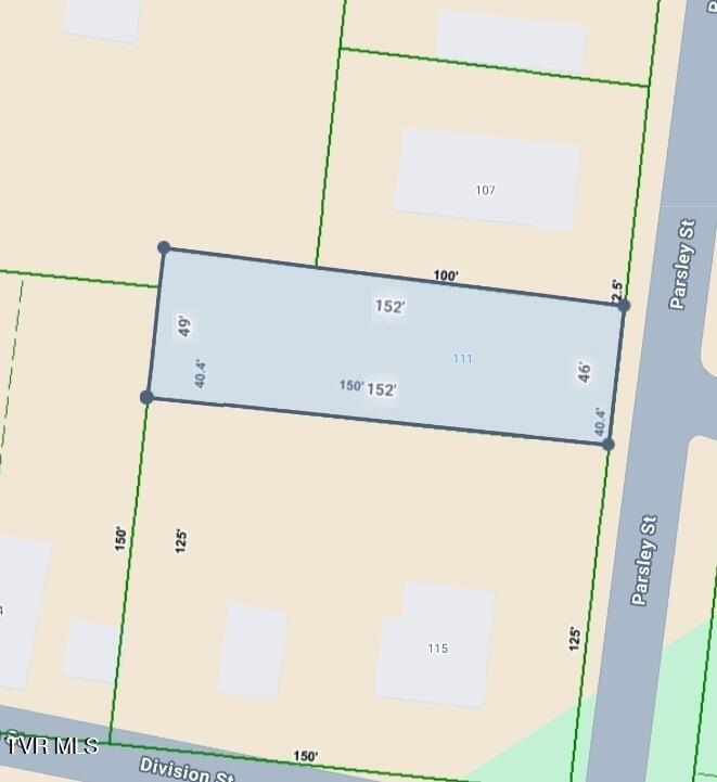 111 Parsley Street Erwin, TN 37650 - Photo 27 of 28 IMG_9422