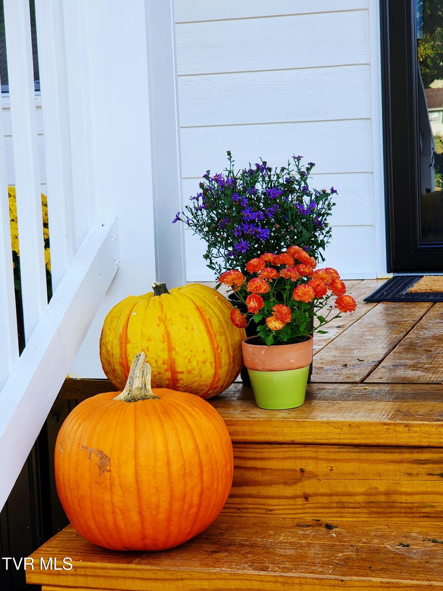 111 Parsley Street Erwin, TN 37650 - Photo 28 of 28 IMG_9423