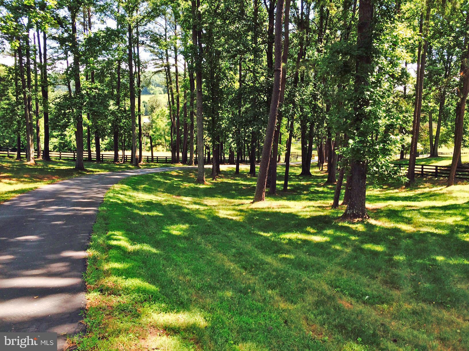 7547 Keith Road Warrenton, VA 20186 - Photo 27 of 30 Driveway