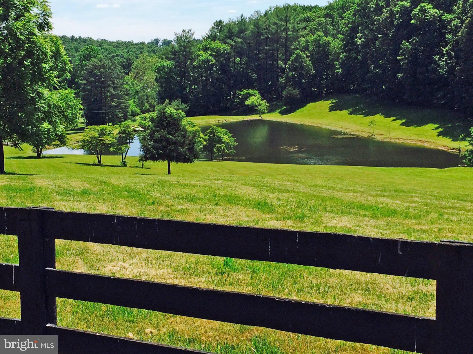 7547 Keith Road Warrenton, VA 20186 - Photo 28 of 30 View of pond