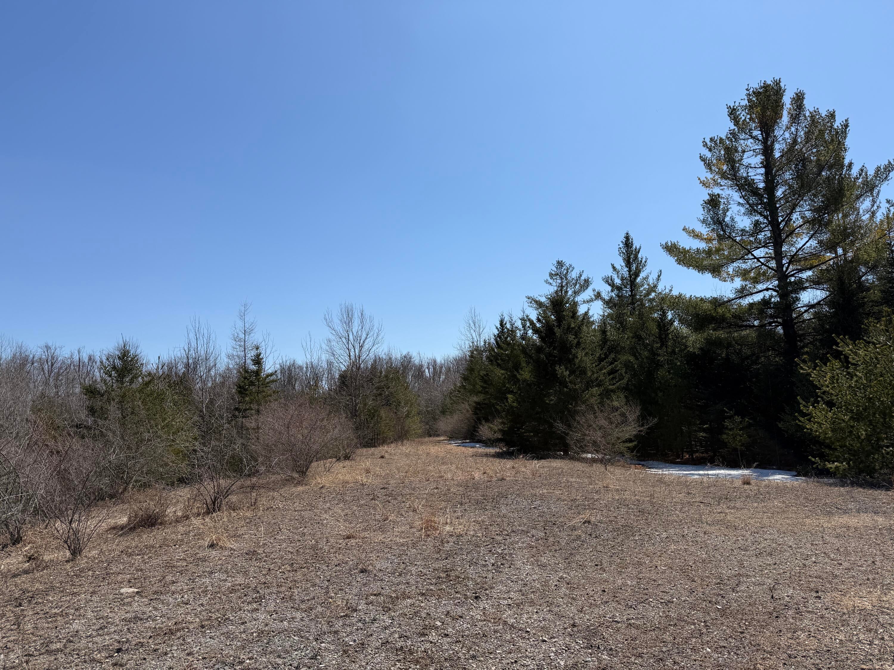 139-ac Witt Road Herron, MI 49744 - Photo 8 of 19 IMG_2910