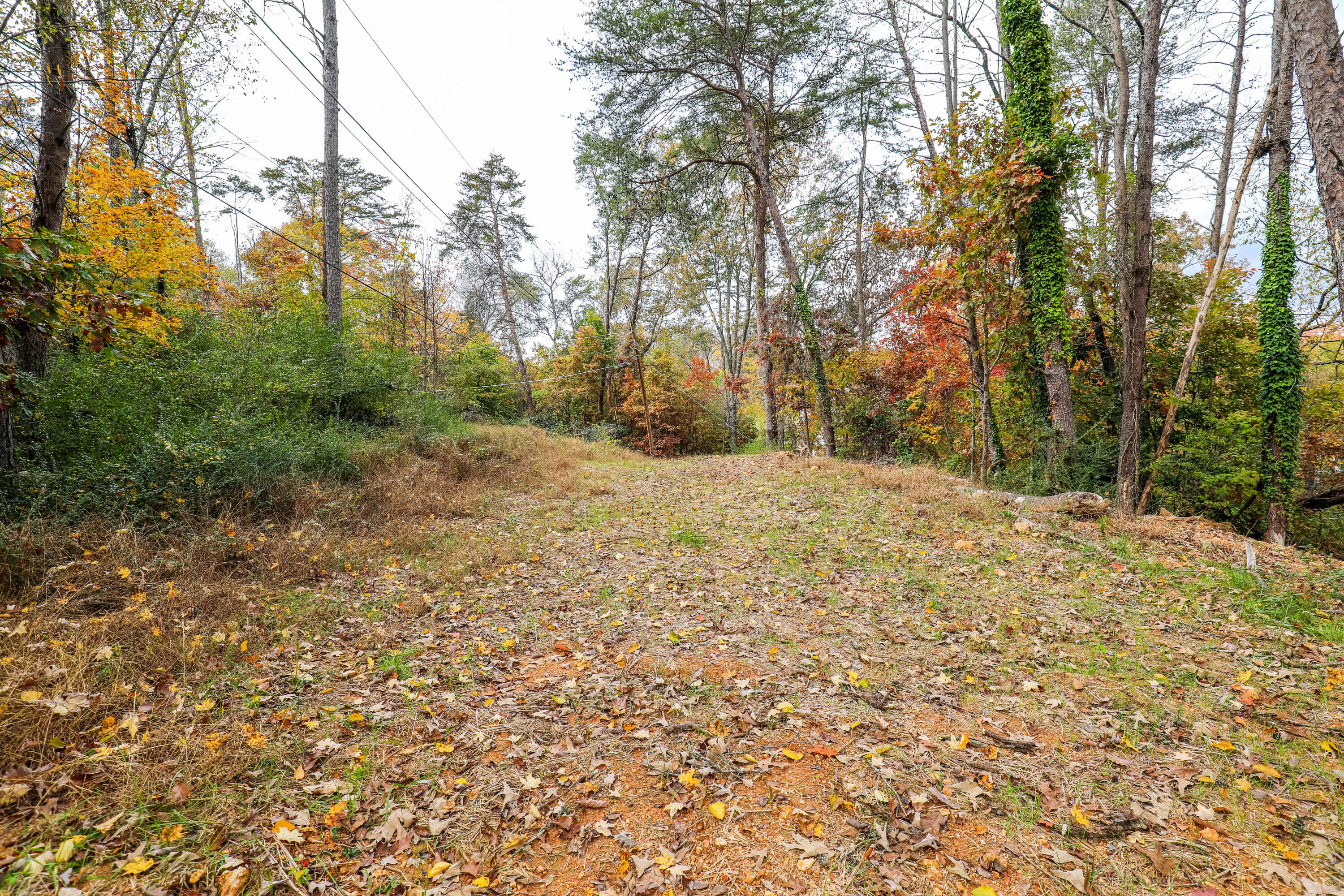 4726 North Forest Road Hixson, TN 37343 - Photo 30 of 52 Level Area for a Possible 15x15 Pad