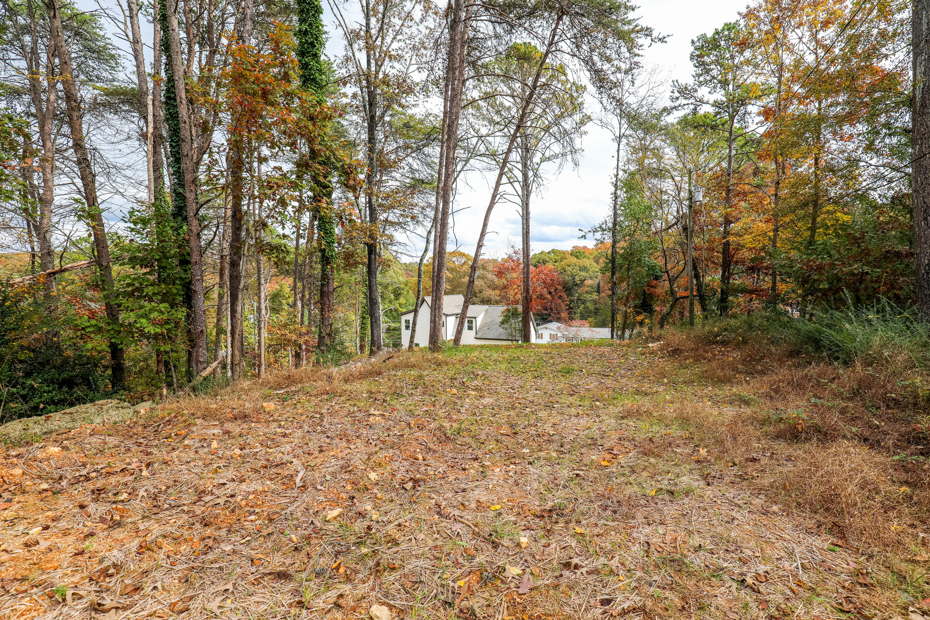 4726 North Forest Road Hixson, TN 37343 - Photo 31 of 52 Level Area for a Possible 15x15 Pad