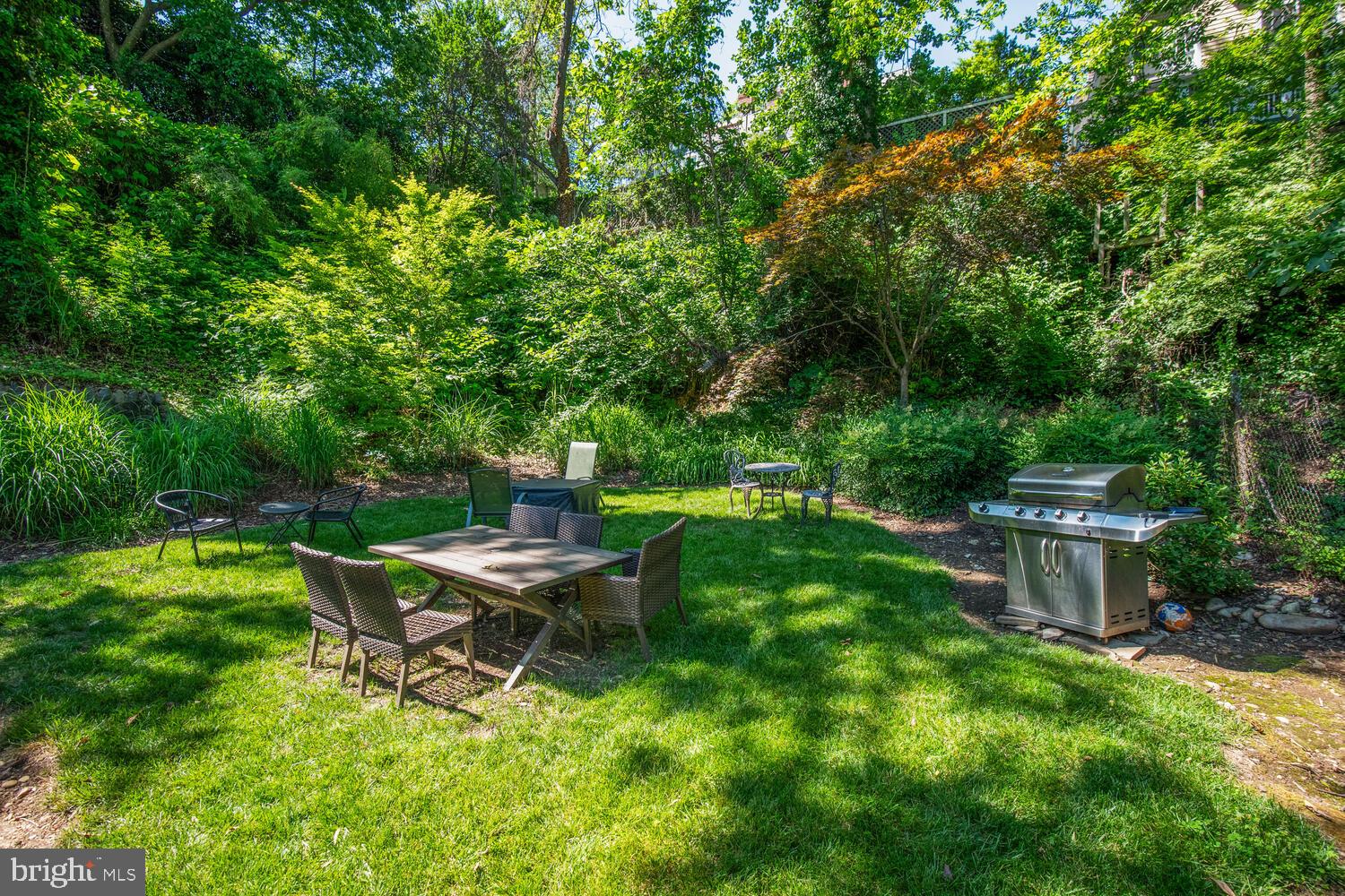 3039 Macomb Street Northwest, Unit 35 Washington, DC 20008 - Photo 39 of 50 Back yard and grilling station