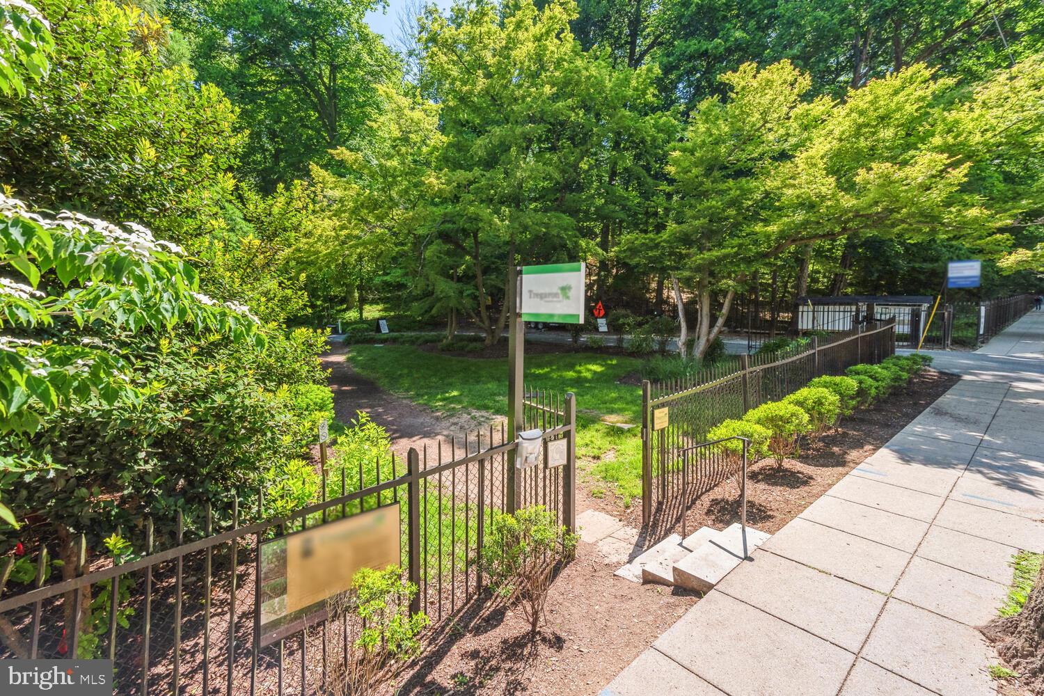 3039 Macomb Street Northwest, Unit 35 Washington, DC 20008 - Photo 41 of 50 Tregaron Conservancy