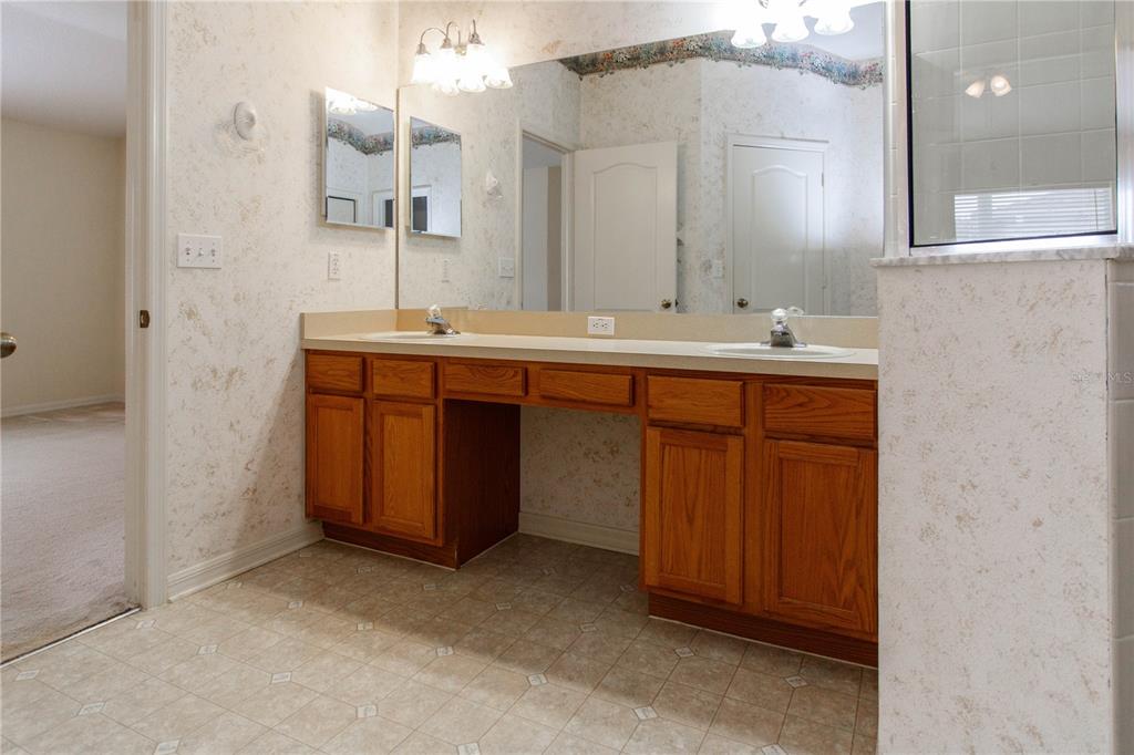 1747 Ravenridge Street Wesley Chapel, FL 33543 - Photo 29 of 35 a bathroom with a sink and a mirror