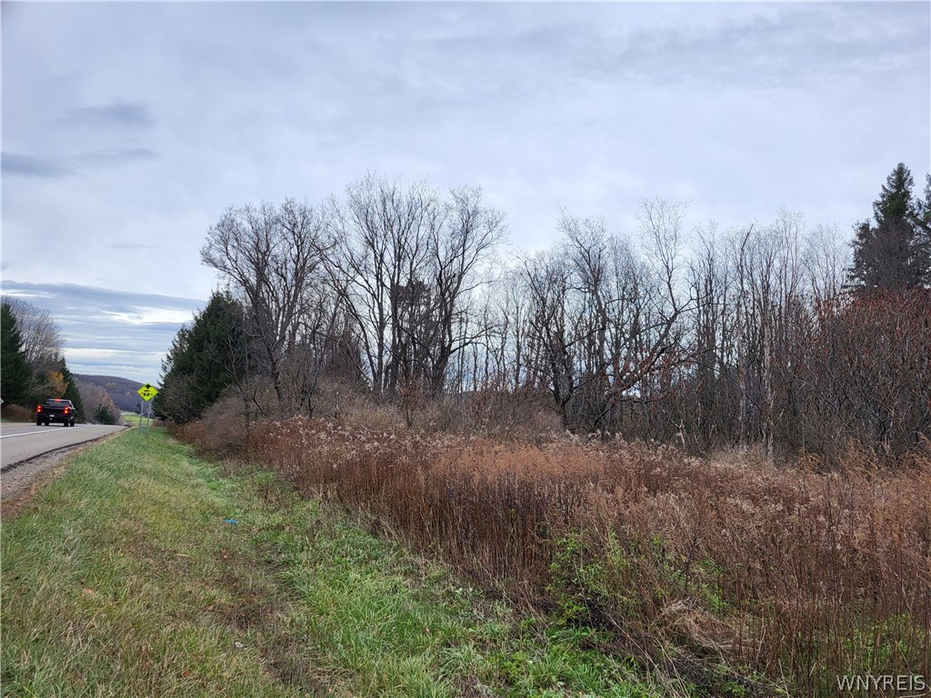 219 Us Route West Valley, NY 14171 - Photo 3 of 4