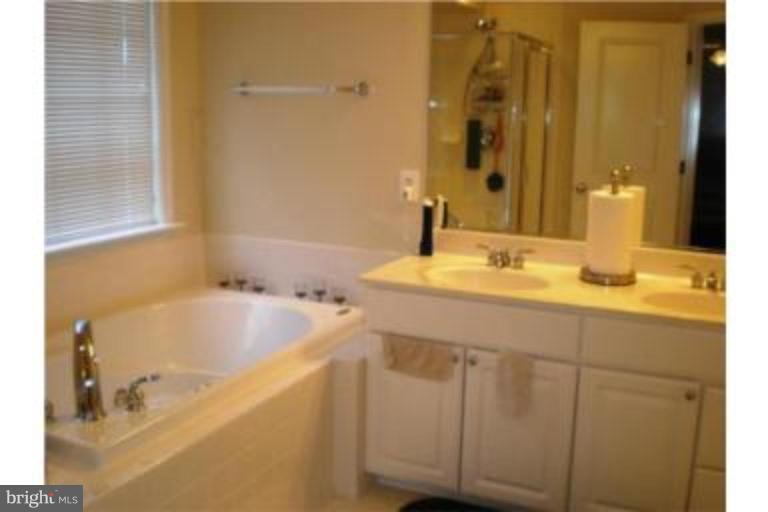 13809 Aston Manor Drive, Unit 9 Silver Spring, MD 20904 - Photo 12 of 17 Master Bath