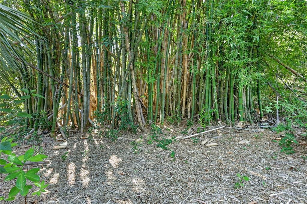 11145 Southwest Meadowlark Circle Stuart, FL 34997 - Photo 71 of 107 Bamboo trees