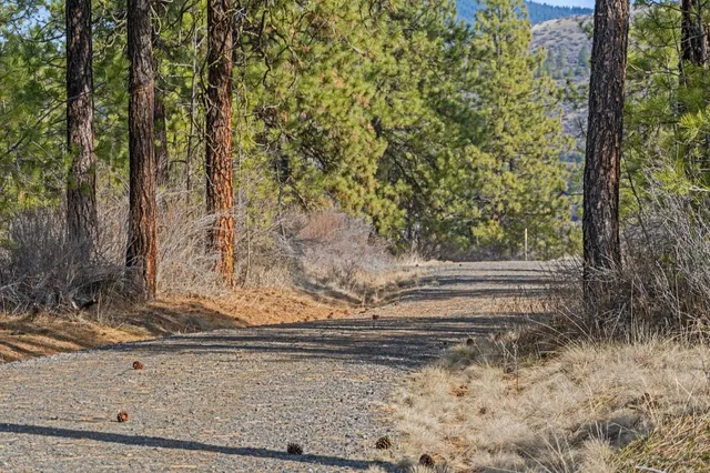 $489,900 | 38800 Sand Flats Drive East, Davenport, WA 99122