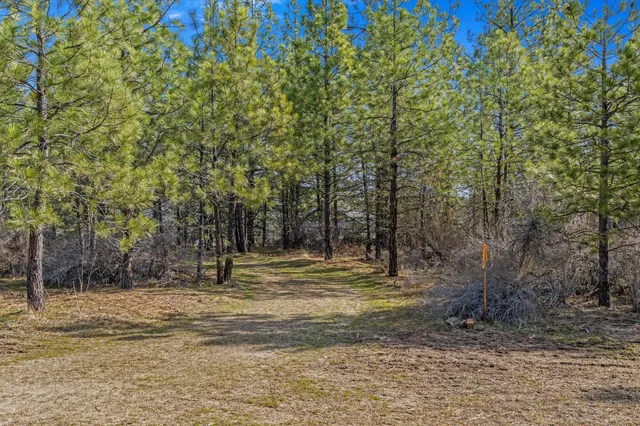 $489,900 | 38800 Sand Flats Drive East, Davenport, WA 99122