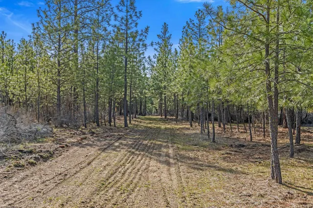 $489,900 | 38800 Sand Flats Drive East, Davenport, WA 99122