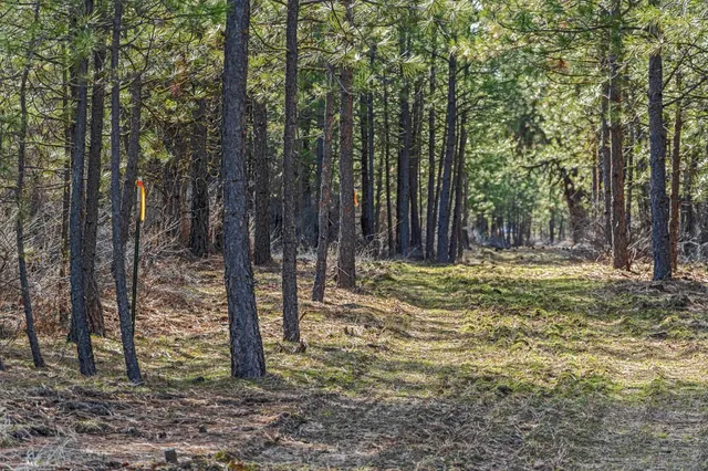 $489,900 | 38800 Sand Flats Drive East, Davenport, WA 99122