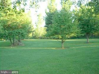 13491 Hume Road Hume, VA 22639 - Photo 21 of 30 yard