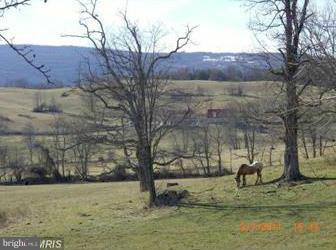13491 Hume Road Hume, VA 22639 - Photo 22 of 30 Mountain and pasture