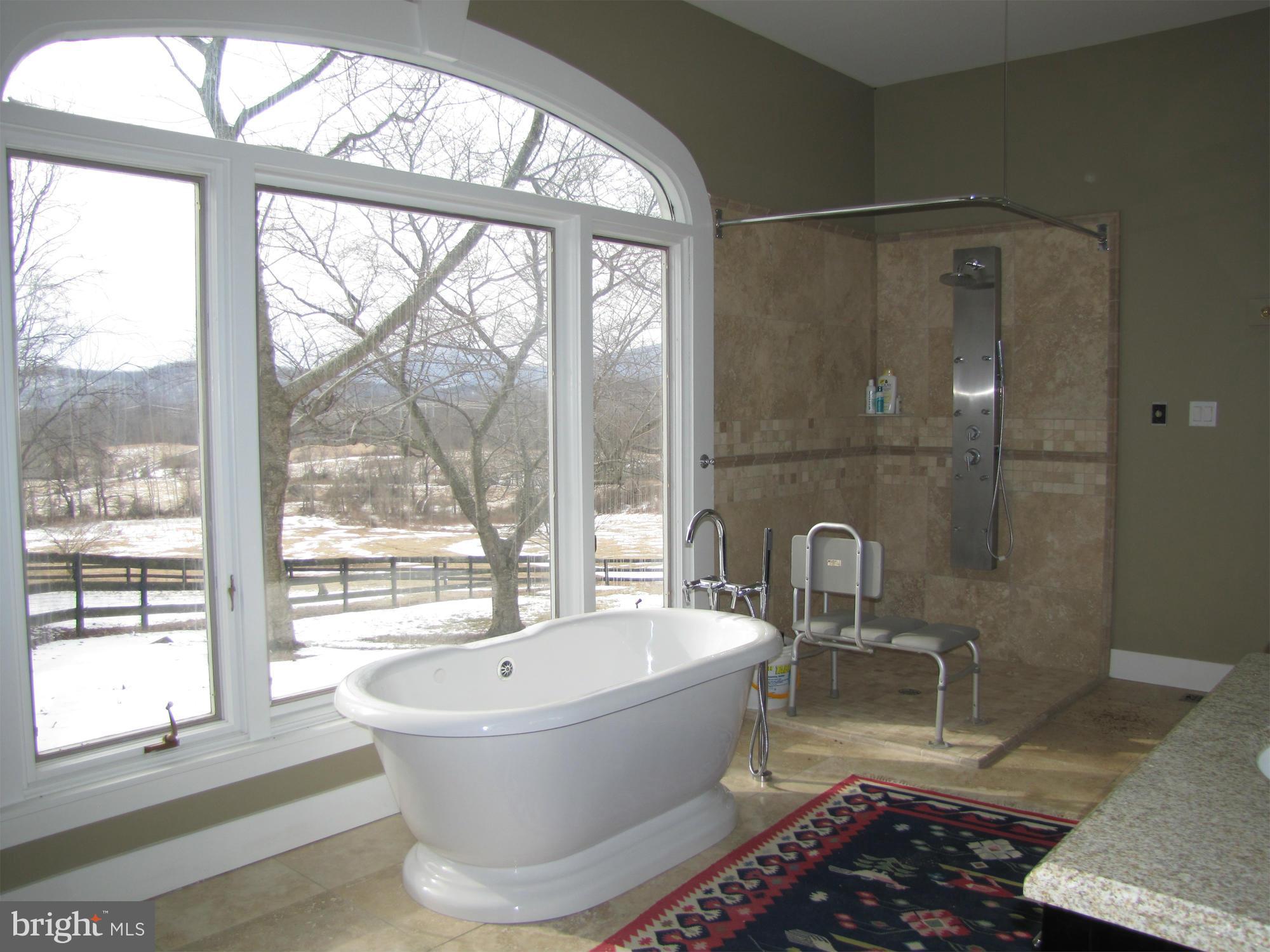 13491 Hume Road Hume, VA 22639 - Photo 10 of 30 Bath (Master)