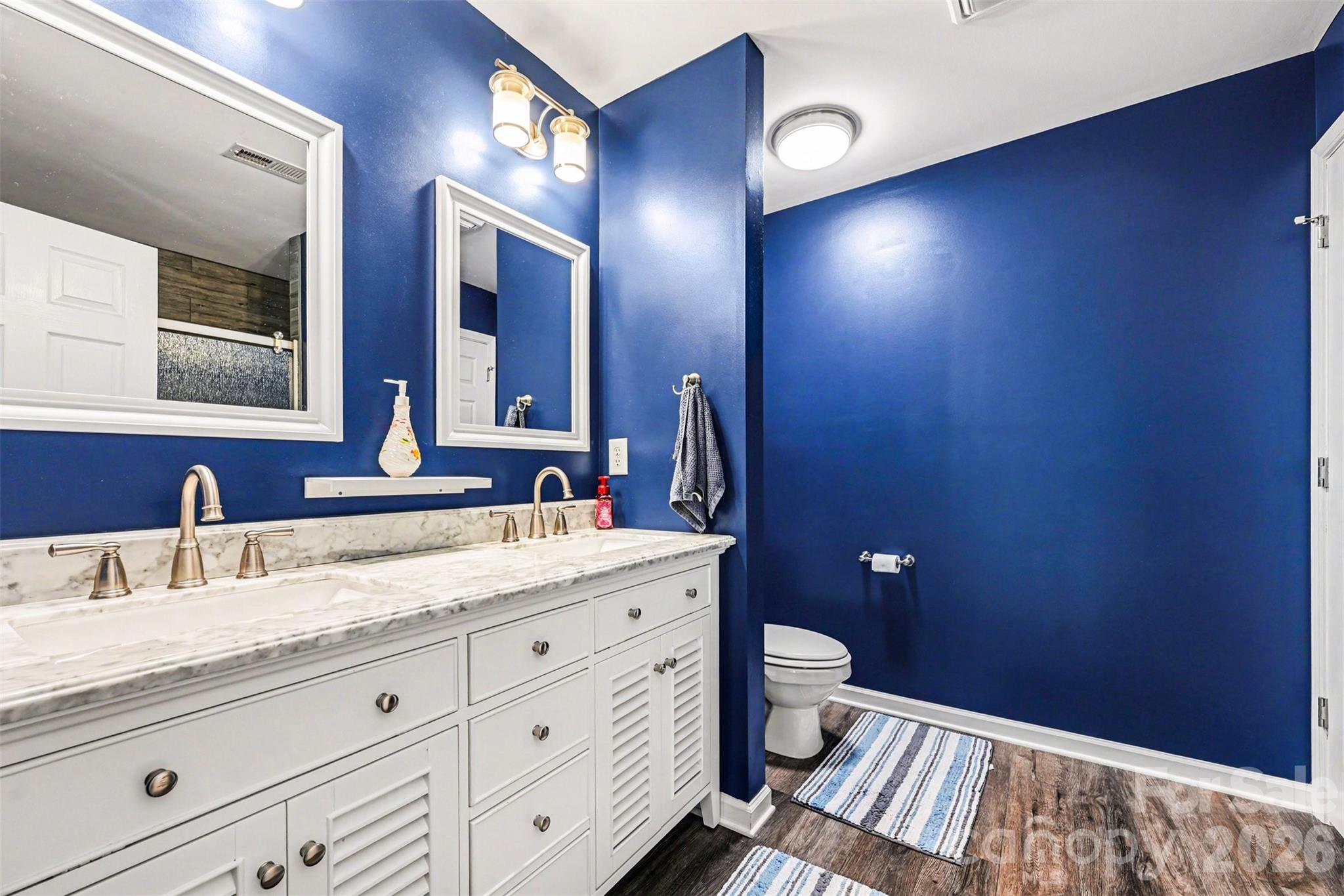 391 Lone Tree Lane Clover, SC 29710 - Photo 13 of 27 a bathroom with a granite countertop sink a toilet and a mirror