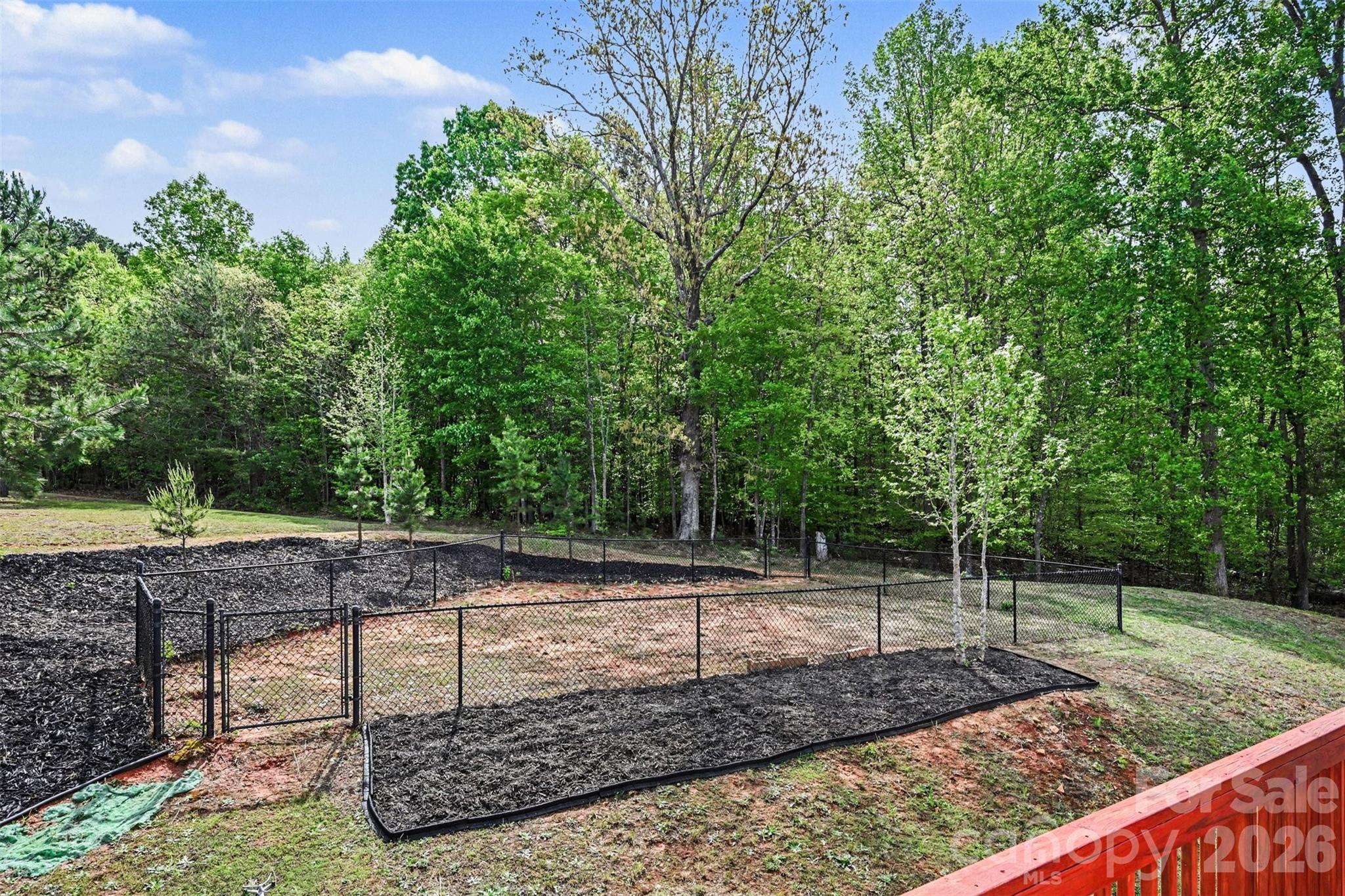 391 Lone Tree Lane Clover, SC 29710 - Photo 26 of 27 a view of a backyard with trees