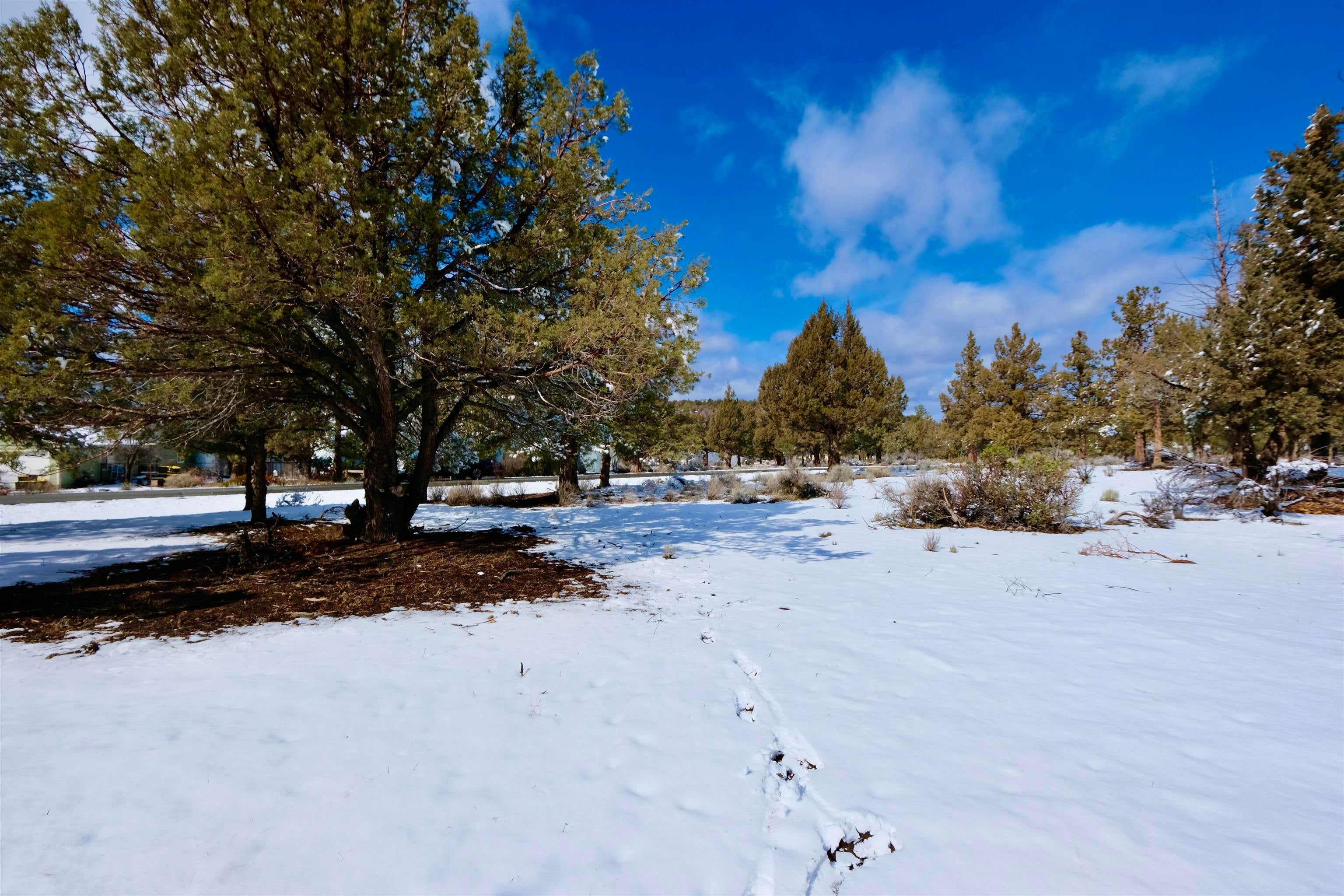 8-2 Unit Road Weed, CA 96094 - Photo 13 of 14 Gallery Image 13