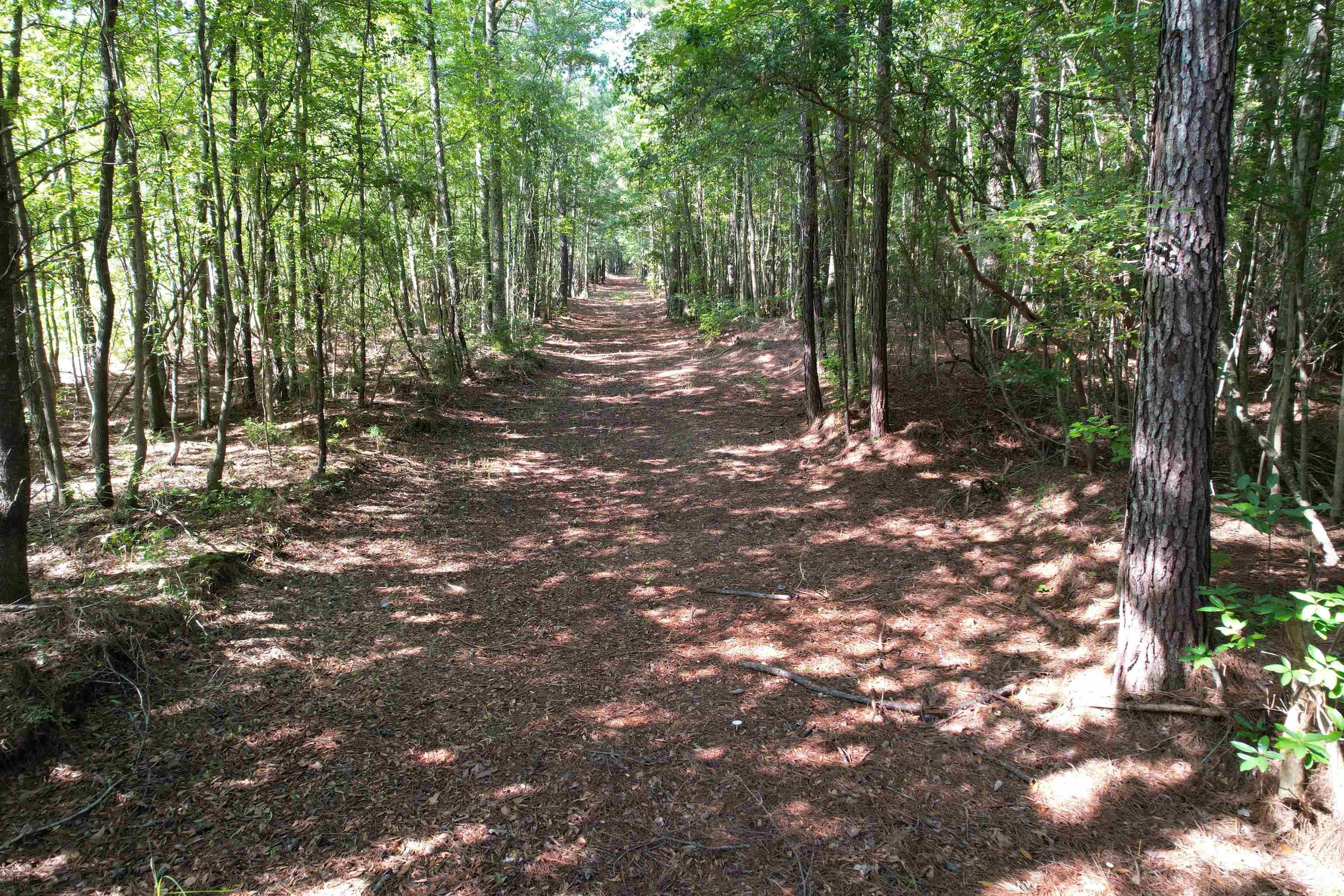 33.5-acres-tbd Union Church Road Salters, SC 29590 - Photo 15 of 22