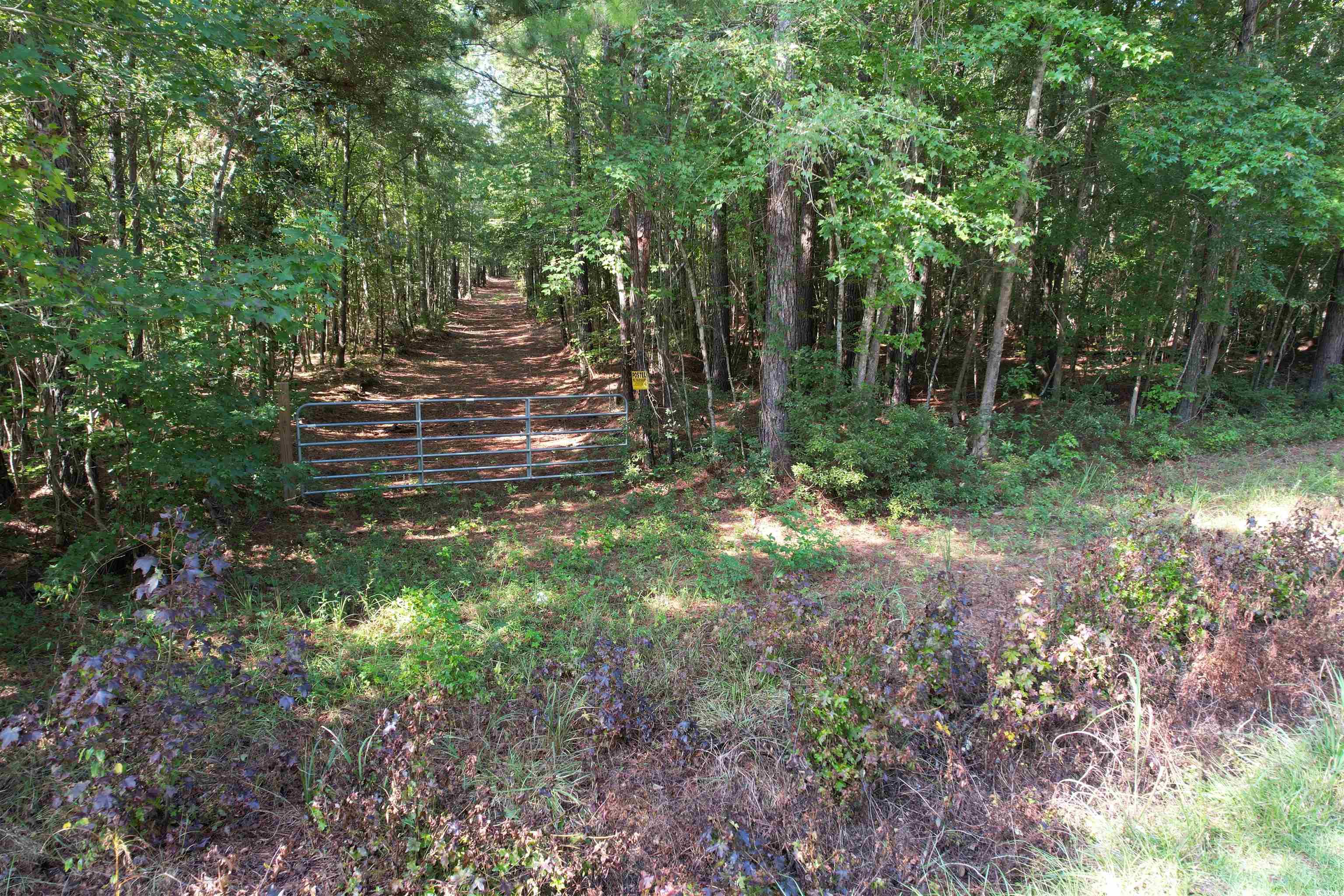 33.5-acres-tbd Union Church Road Salters, SC 29590 - Photo 16 of 22