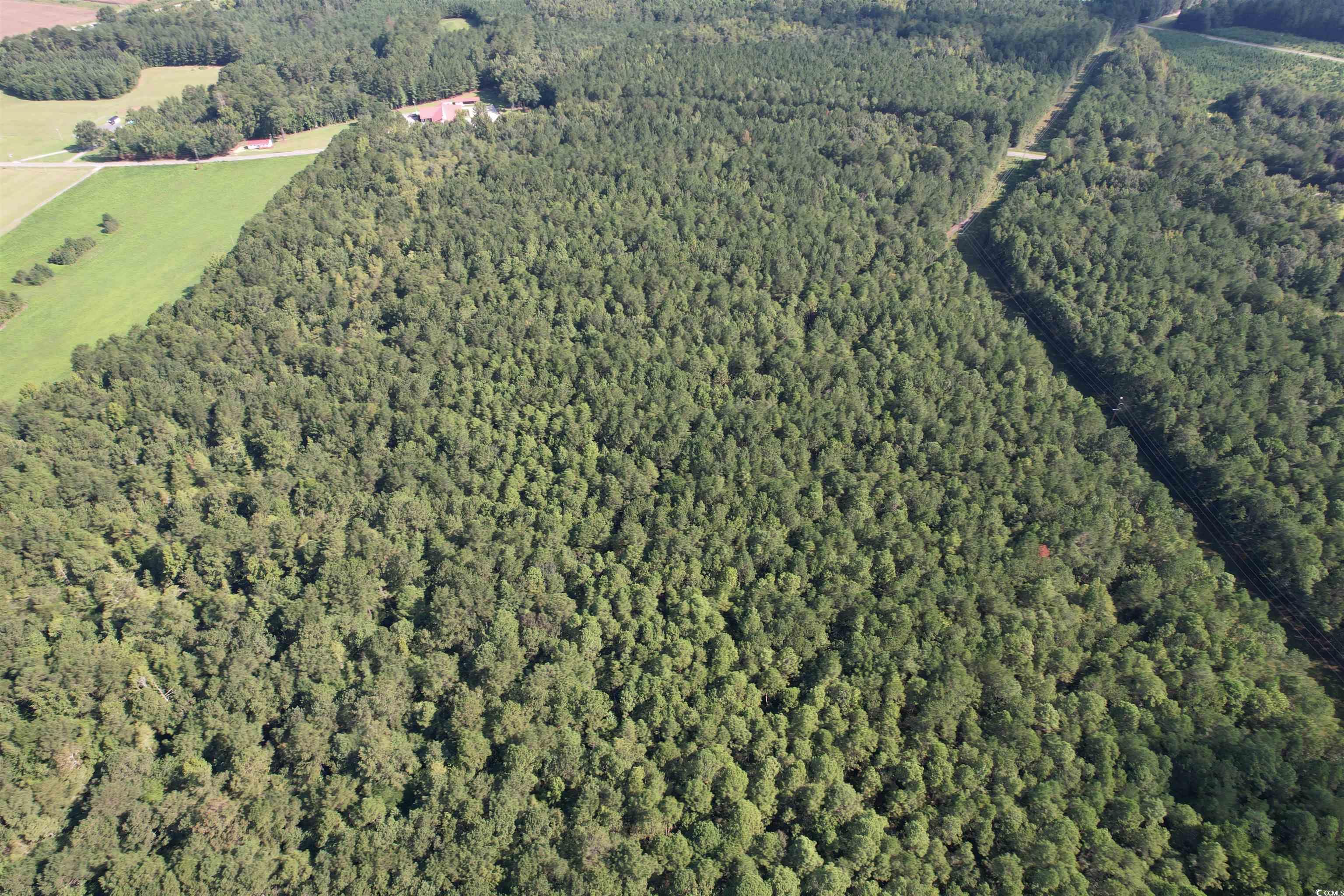 33.5-acres-tbd Union Church Road Salters, SC 29590 - Photo 17 of 22