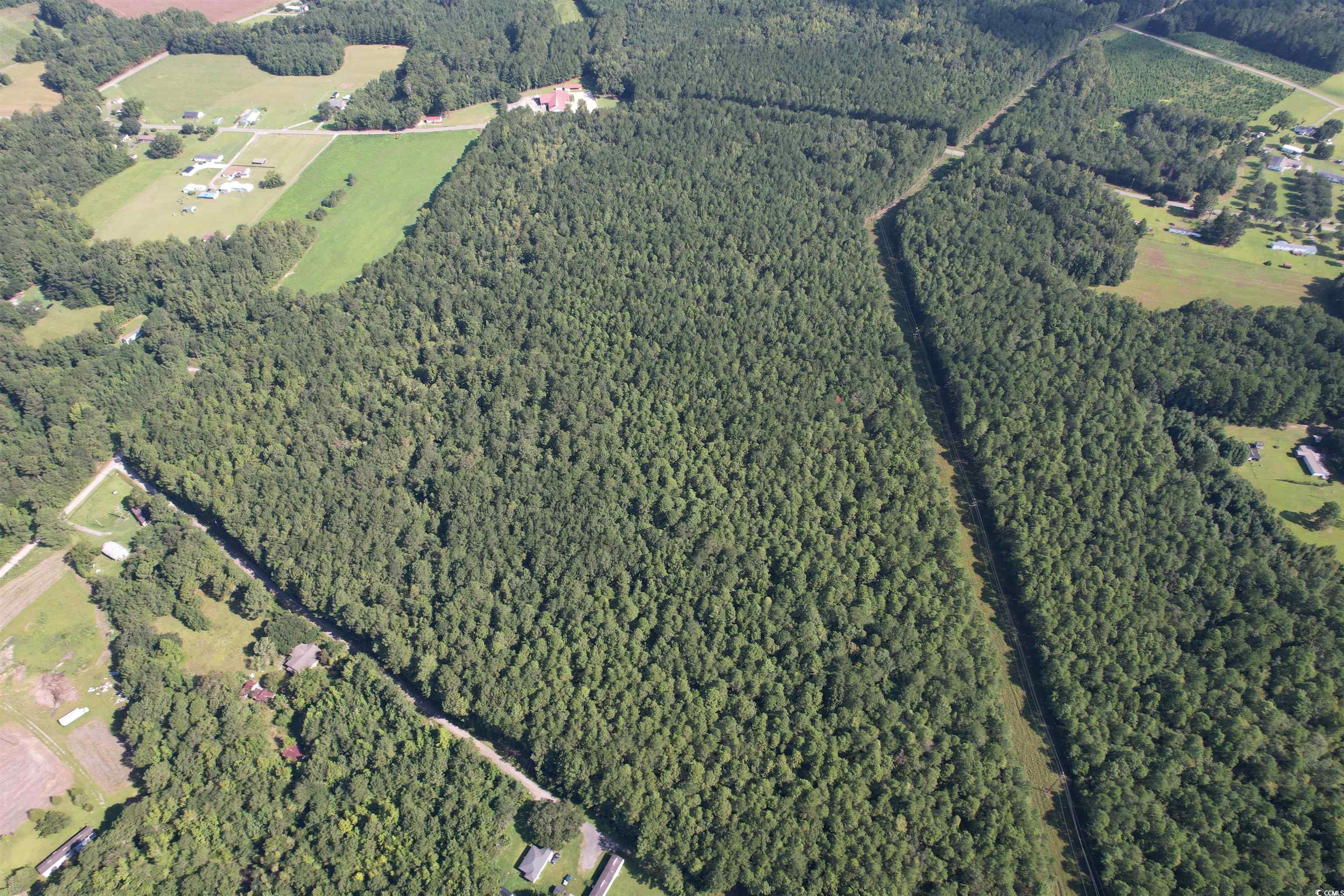 33.5-acres-tbd Union Church Road Salters, SC 29590 - Photo 18 of 22
